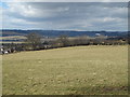 Farmland south of the A69 (2)