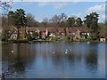 SU8858 : Tomlin's Pond, Frimley by Alan Hunt