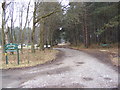TM4671 : Sandlings Walk Path to the B1125 Blythburgh Road by Geographer