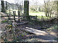 Small footbridge (1), Ladybrook Valley Interest Trail