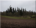 Farmland at South Hillhead