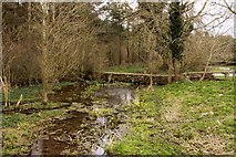 ST9898 : The infant River Thames flows downstream from nearby Lyd Well by Steve Daniels