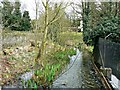 Downstream, River Gade, The Bury, Hemel Hempstead