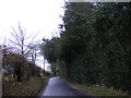 TG1208 : Mill Road, Marlingford by Geographer