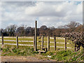 Fence, Stile and Signpost, Bollin Valley Way