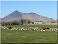 Farmhouse on Ballyveaghbeg Road with Binnian in the background