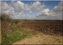SS6705 : Ploughed field near Dingley Dell by Derek Harper