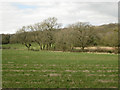 Field corner with footbridge