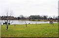 Lake at Ravenshill near Lulsley, Worcs