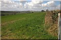 Farmland near Coldridge