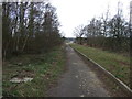 Cycle track, Pipe Marsh