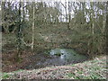 Small pond, Pipe Marsh