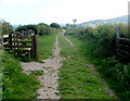 A track from stile to mast north of Pontypool