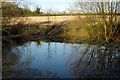 Pool by the path to Roade