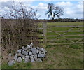 Pile of rocks along Owston Road