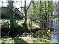 Moat within the grounds of Parkhaven Trust