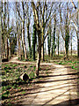 Footpath within Parkhaven Trust grounds