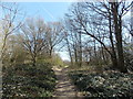 View of a path leading to Shoulder of Mutton Pond