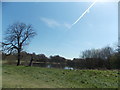 View over Shoulder of Mutton Pond