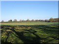 TQ1615 : Furze Pasture/Furze Field/The Rough/South Piece/Common Mead by Simon Carey