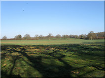 TQ1615 : Furze Pasture/Furze Field/The Rough/South Piece/Common Mead by Simon Carey