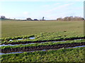 Waterlogged Fields at New Barn Farm