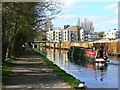 Narrowboat approaching new housing development, Nash Mills, Hemel Hempstead