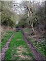 SP7150 : Course of disused railway by Philip Jeffrey