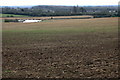 Farmland and pond