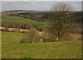 Countryside below Trenchard Farm