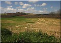 Countryside near Bridge Reeve