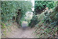 Sunken lane near Battle