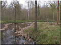TL7930 : Pond in Shardlowe's Wood, part of Broaks Wood  by Roger Jones