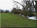 A field beside the Gad Brook