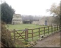 A dovecote in the paddock