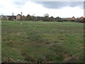 Farmland near Hilton Brook