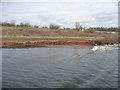 Sandstone, the Manchester Ship Canal