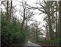 Chestnut Cottages on Ryedown Lane