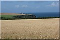 SM8011 : Wheat fields ready for harvest at Windmill Park by Simon Mortimer