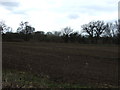 Farmland west of Stenson