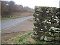 Bench  Mark  on  Dry  Stone  Wall  Moor  Lane