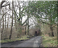 SU3922 : Railway bridge on Green Lane by John Firth