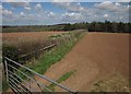 Field boundary near Berry