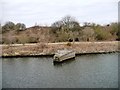 Eastern end of jetty, west of Thelwall Ferry