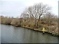 Manchester Ship Canal beacon 302