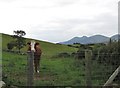 Grazing land east of Drumlee Road