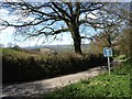 Start of the lane to Chudleighwoods Farm