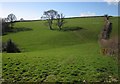 Side valley below Beaford