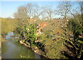 River Anker, Tamworth