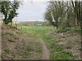 Access Path to Ridgeway Walk looking downhill